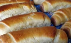 Semana da Criança será celebrada com circo