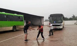 Bagé tem a segunda menor incidência de casos de dengue