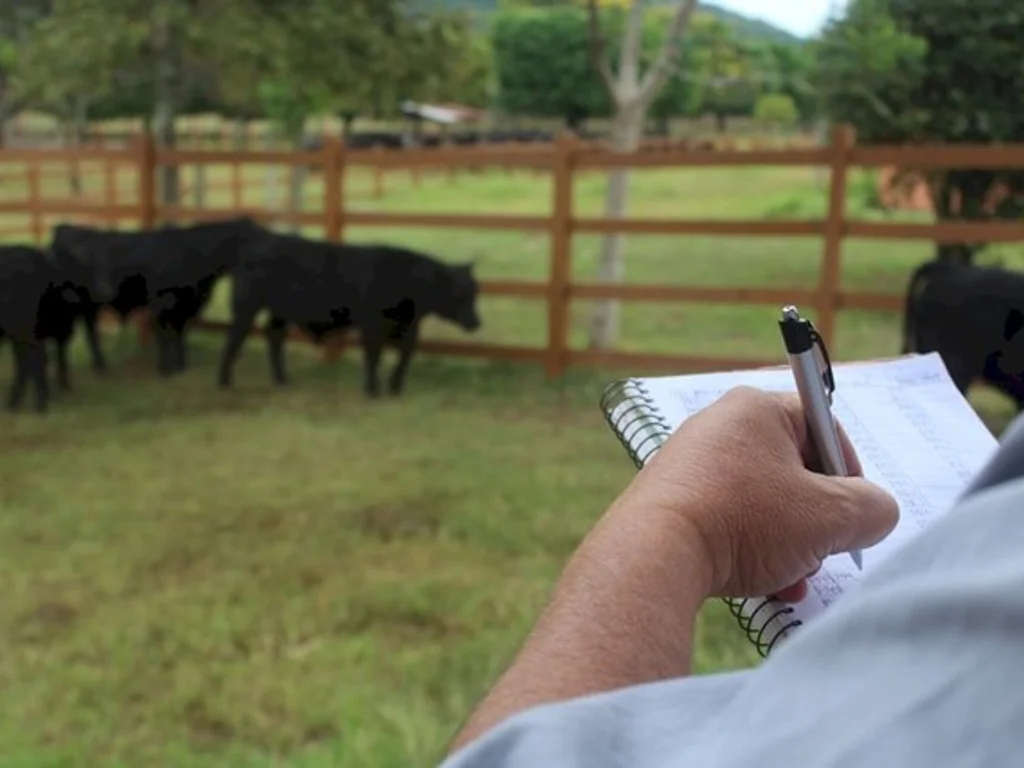 Inspetores de raças serão avaliadores do Promebo