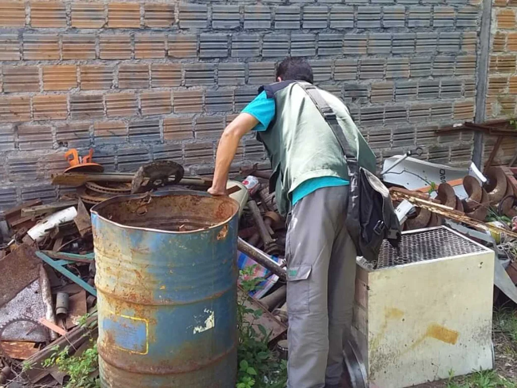 Levantamento aponta menos larvas do mosquito da dengue