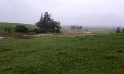 Expopampa será vitrine das potencialidades da região