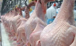 Projeto propõe apresentação de carteira de vacina em eventos