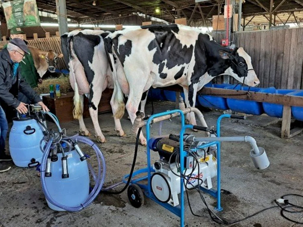 Fenasul Expoleite 2022 começa amanhã