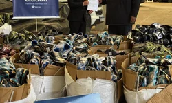 Executivo quer implementar banco de ração e medicações para animais