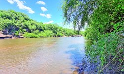 Descida do Rio Camaquã chega à 31ª edição com mais de 120 remadores