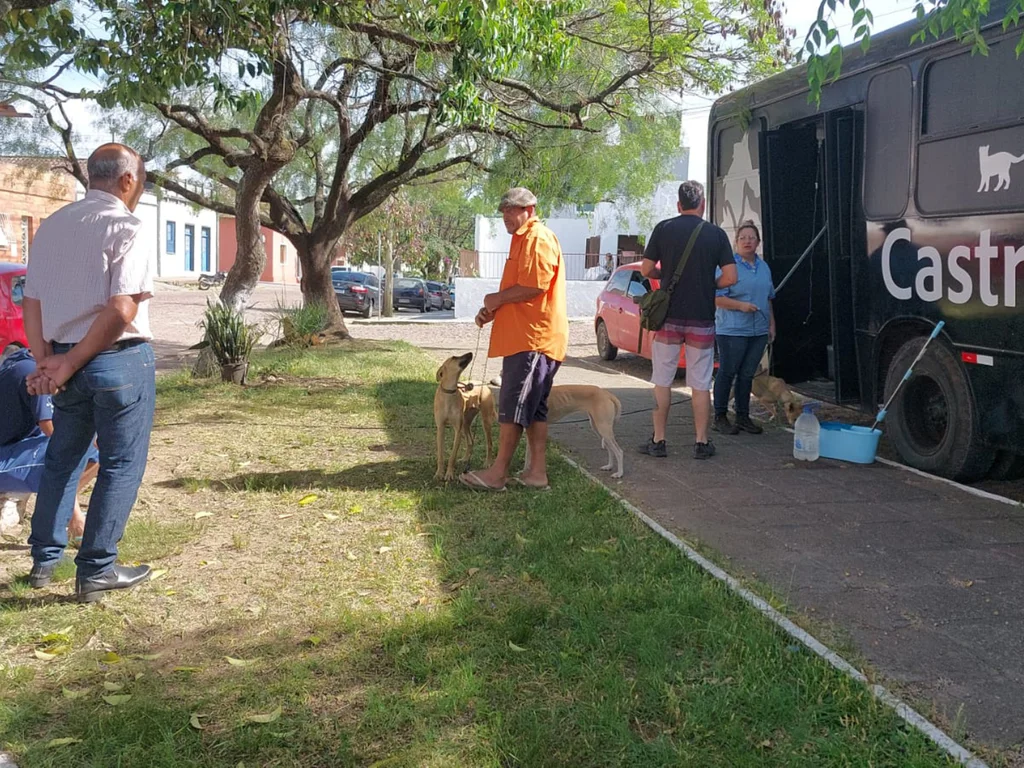 Ação castra animais identificados em situação de maus-tratos
