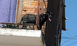 Sábados Azuis terá sorteio de bolsas de estudos