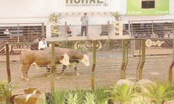 PampaPlus antecipa prazo