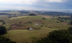 Custos para produção de soja e milho apresentam alta