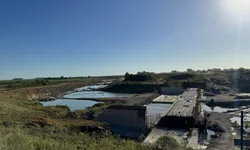 Arvorezinha chega à metade da execução e assegura recursos federais