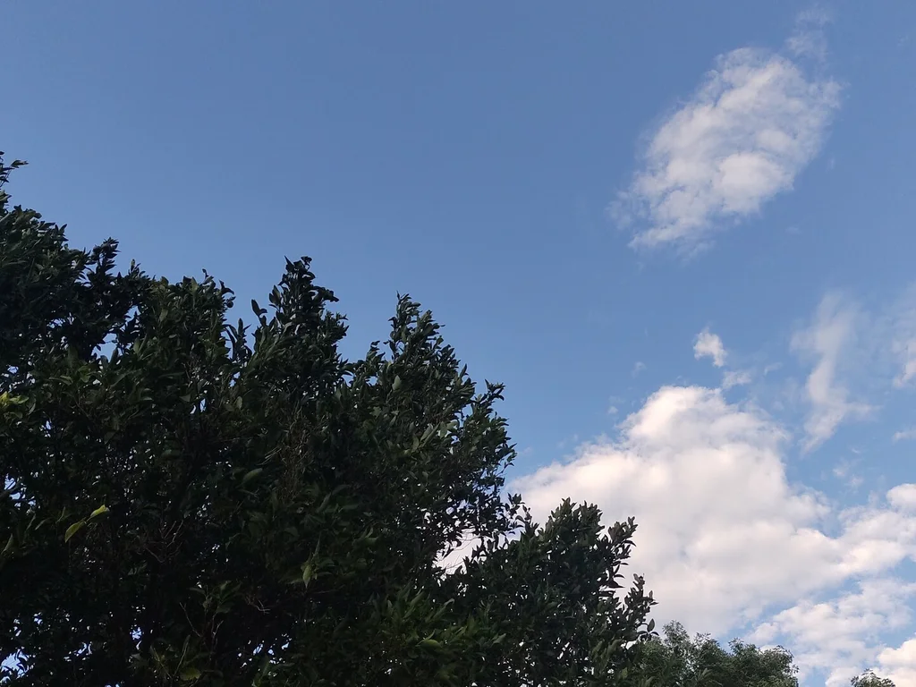 Dias de carnaval serão de temperaturas amenas