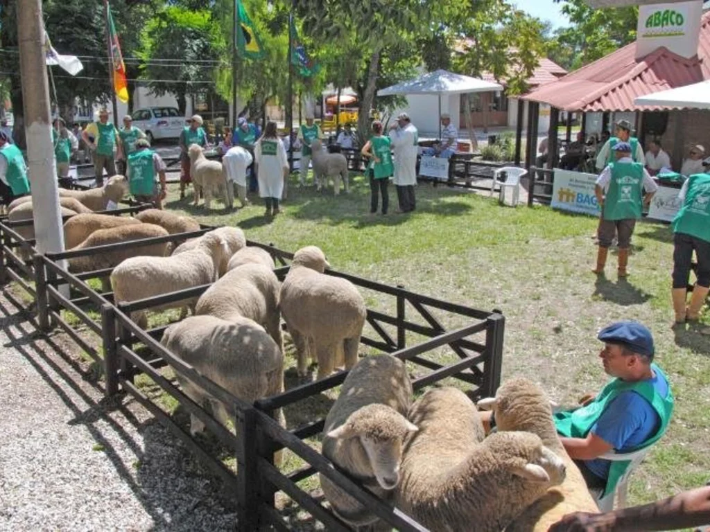 Começa a 14ª Agrovinos no parque da Rural