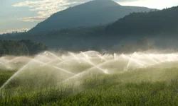 Governo estadual quer mitigar efeitos da estiagem em áreas rurais