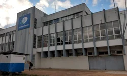 A volta dos gafanhotos