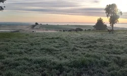 Paróquia necessita trocar toda a rede elétrica