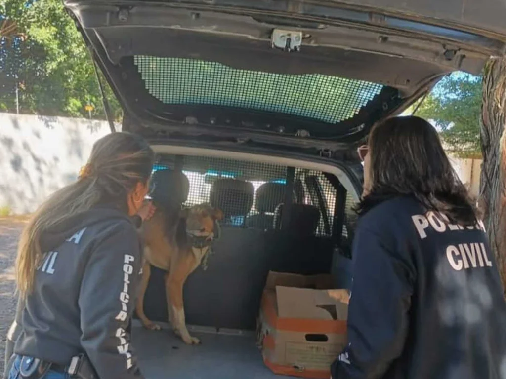 Casal é preso em flagrante por maus-tratos a animais