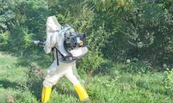 Bagé tem um caso de dengue confirmado