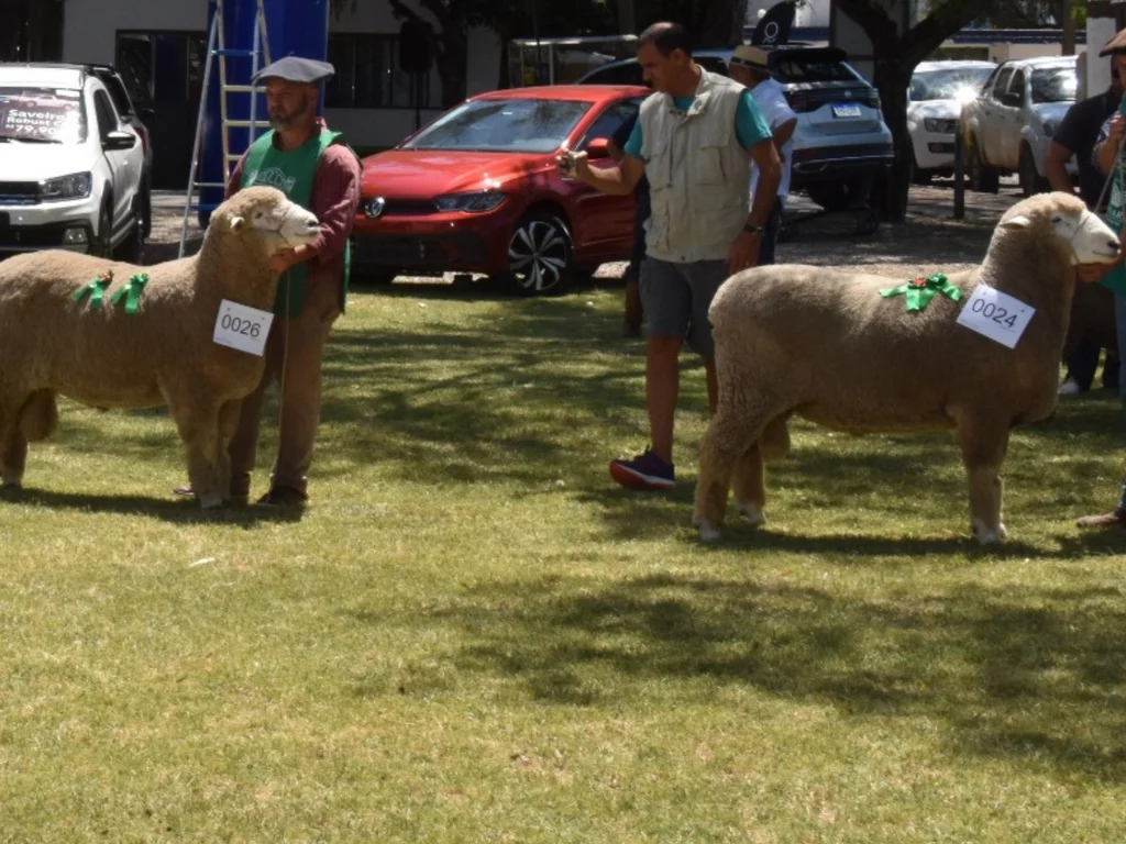 Agrovino tem recorde de inscritos, programação intensa e expectativas positivas