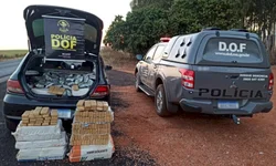 Policiais revelam a face da violência contra menores