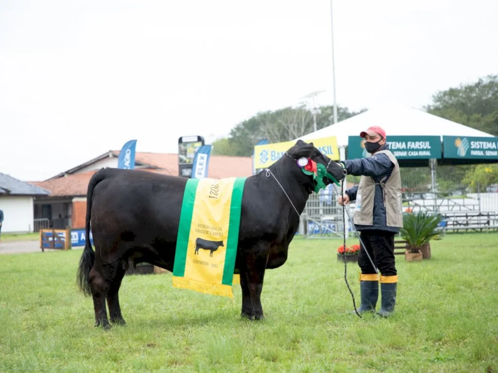 Grande Campeã tem cota comercializada por R$ 40,5 mil
