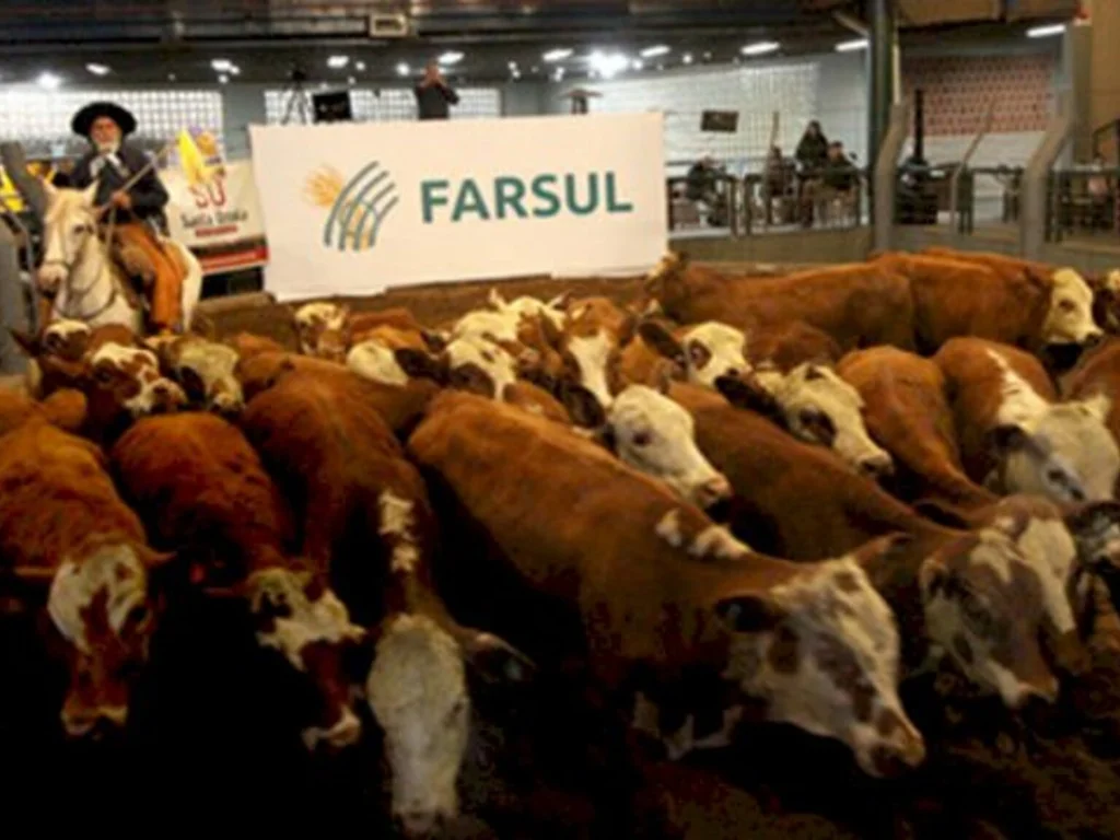 Feira de ventres e novilhos movimenta R$ 1,34 milhão