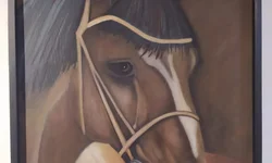 Mario Garcia mantém viva a tradição dos quadrinhos