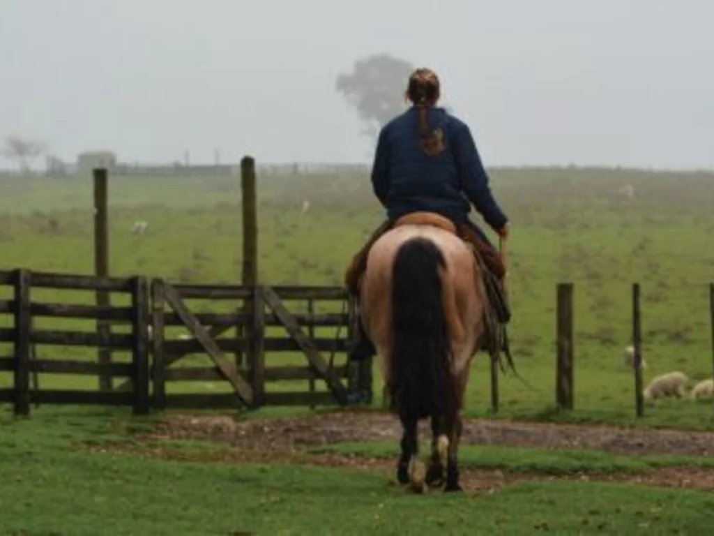 Projeto busca enaltecer atuação feminina nas lidas campeiras