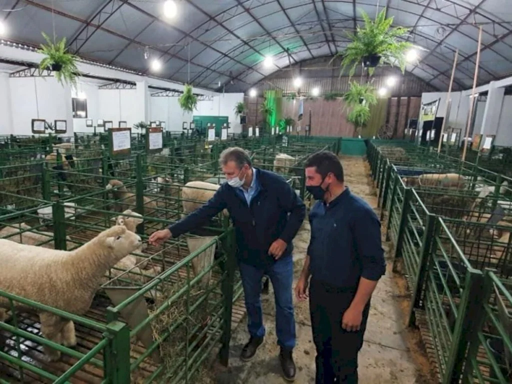 Hamm marca presença na Fenovinos