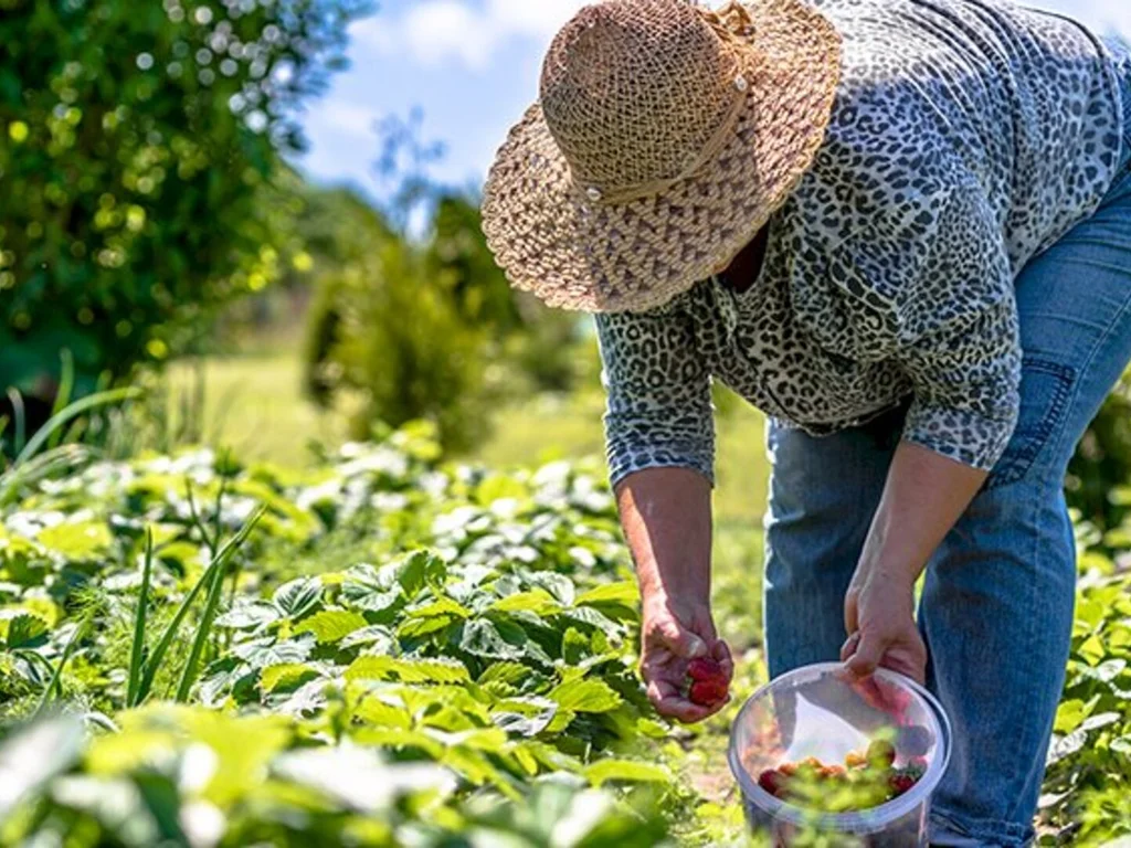 Fetag e Incra discutem demandas da agricultura familiar