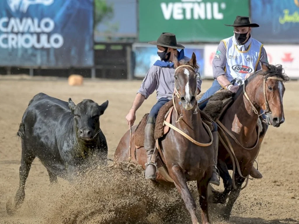 Abertas inscrições para paleteada