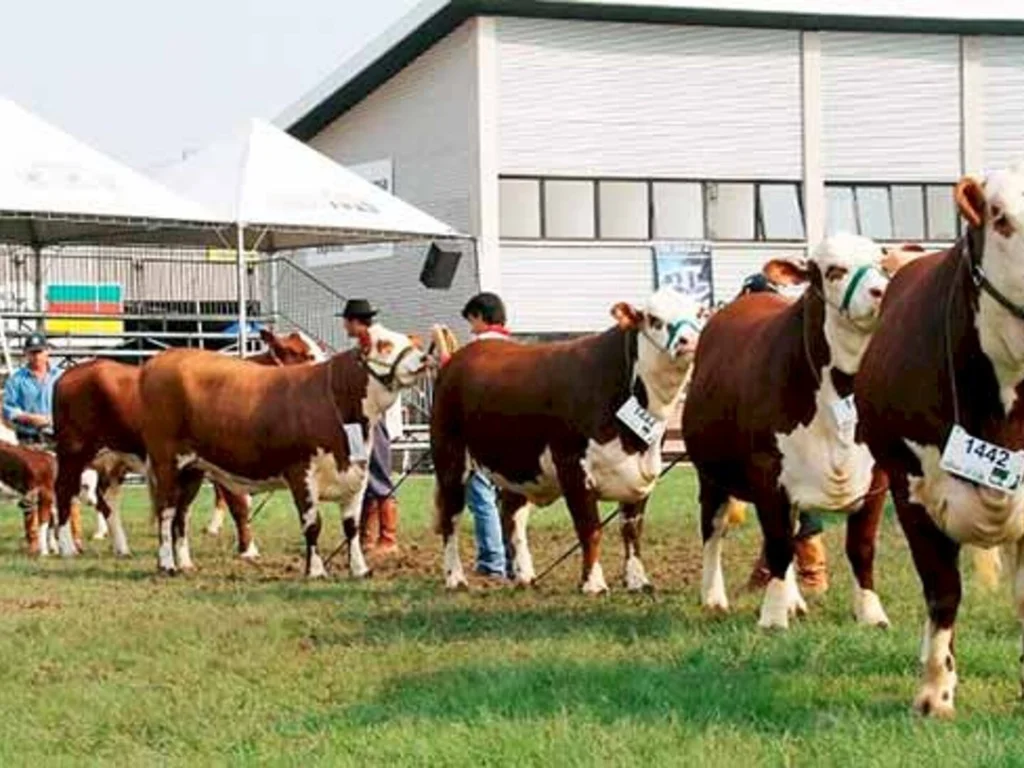 Inscrições para animais de argola terminam na segunda-feira