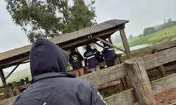 Decrabs ampliam atuação e reduzem crimes rurais