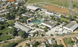 Temporada de leilões da raças Hereford e Braford  registra crescimento