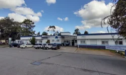 Diferenças entre federações partidárias e coligações