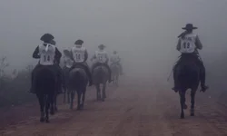 Crioulaço abre o calendário de finais da raça Crioula