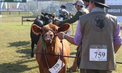 Filhote de dois dias é um dos primeiros a chegar no parque