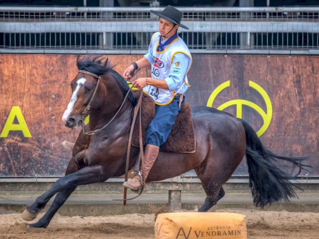 Cavalo da região garante primeiro lugar em classificatória