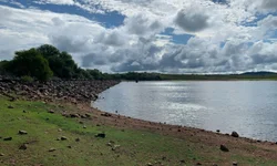 Descontos acumulados sobre IPVA vão só até final do mês