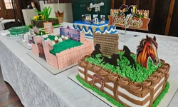 Encontro das DEAMs reforça enfrentamento à violência contra a mulher