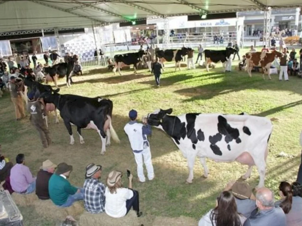 Evolução genética da Raça Holandesa estará em pista