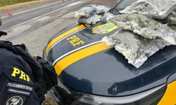 PRF prende irmãs com três quilos de cocaína e munições