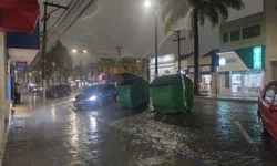 Mercados projetam crescimento e avaliam preços da ceia