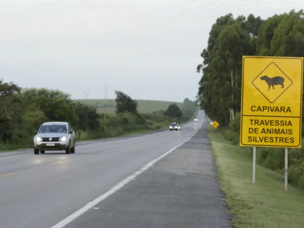 Operação Verão Ecosul começa nesta sexta-feira