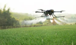 Novas regras são estabelecidas para agrotóxicos
