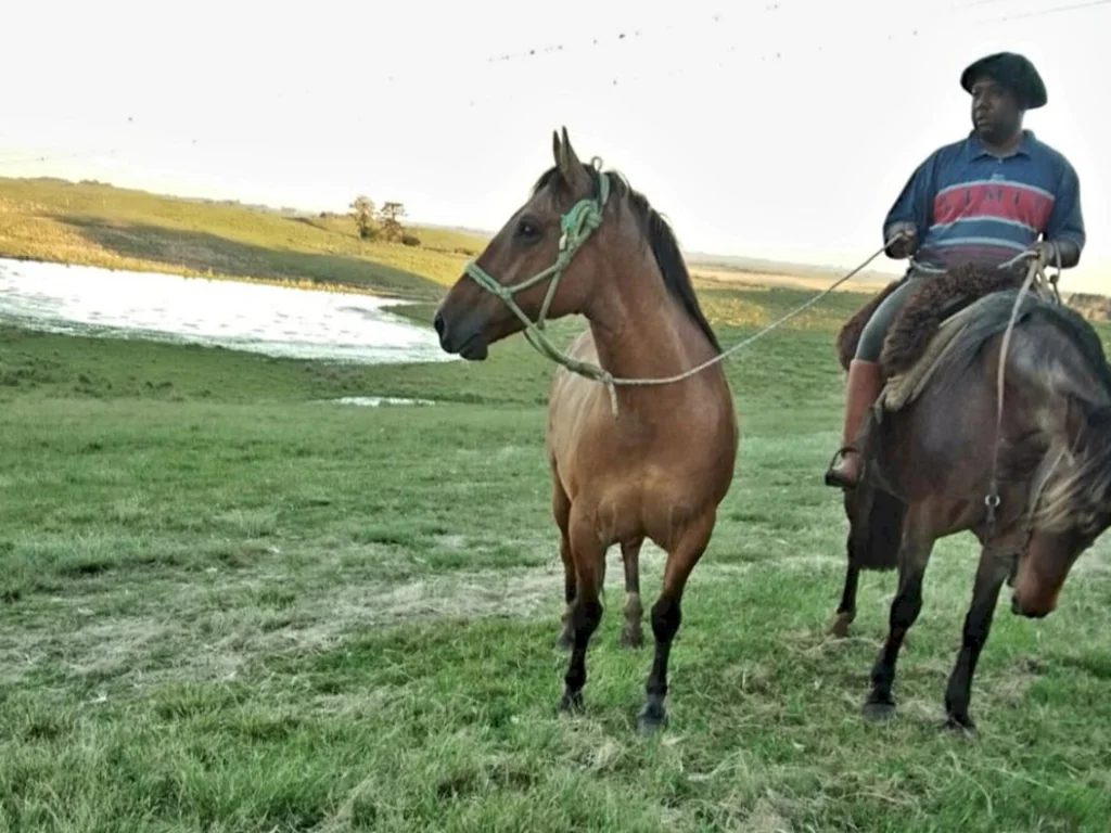 A Fazenda que virou cenário de filme e de um desafio
