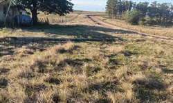 Falta de peritos sobrecarrega atendimentos do INSS em Bagé