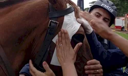 Petrobras reduz preço do gás natural