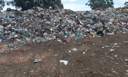 Pré-Carnaval mobiliza bageenses e define soberanas