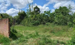 Dia D arrecada 10 mil peças, mas cobertores são necessários