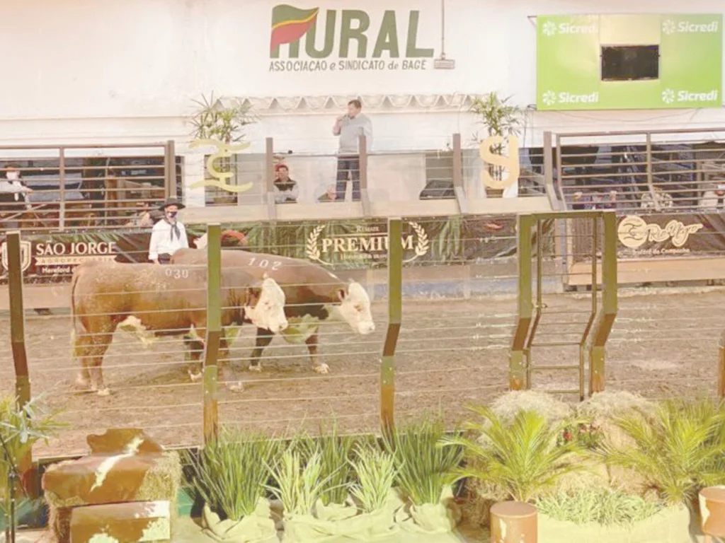 Farsul está recadastrando leiloeiros rurais